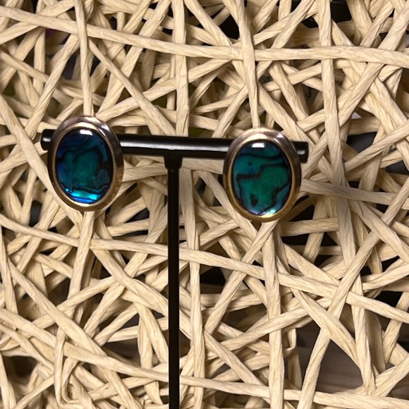 ABALONE • STUD EARRINGS - Picture 1 of 4